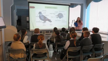 Птицам - нашу любовь и заботу!